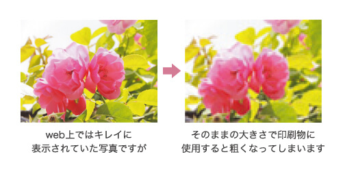 Web上とチラシでの写真の差